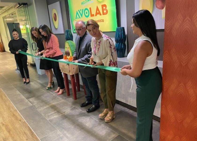 Avocados From Mexico celebrates 10 years, launch of AVOLAB innovation